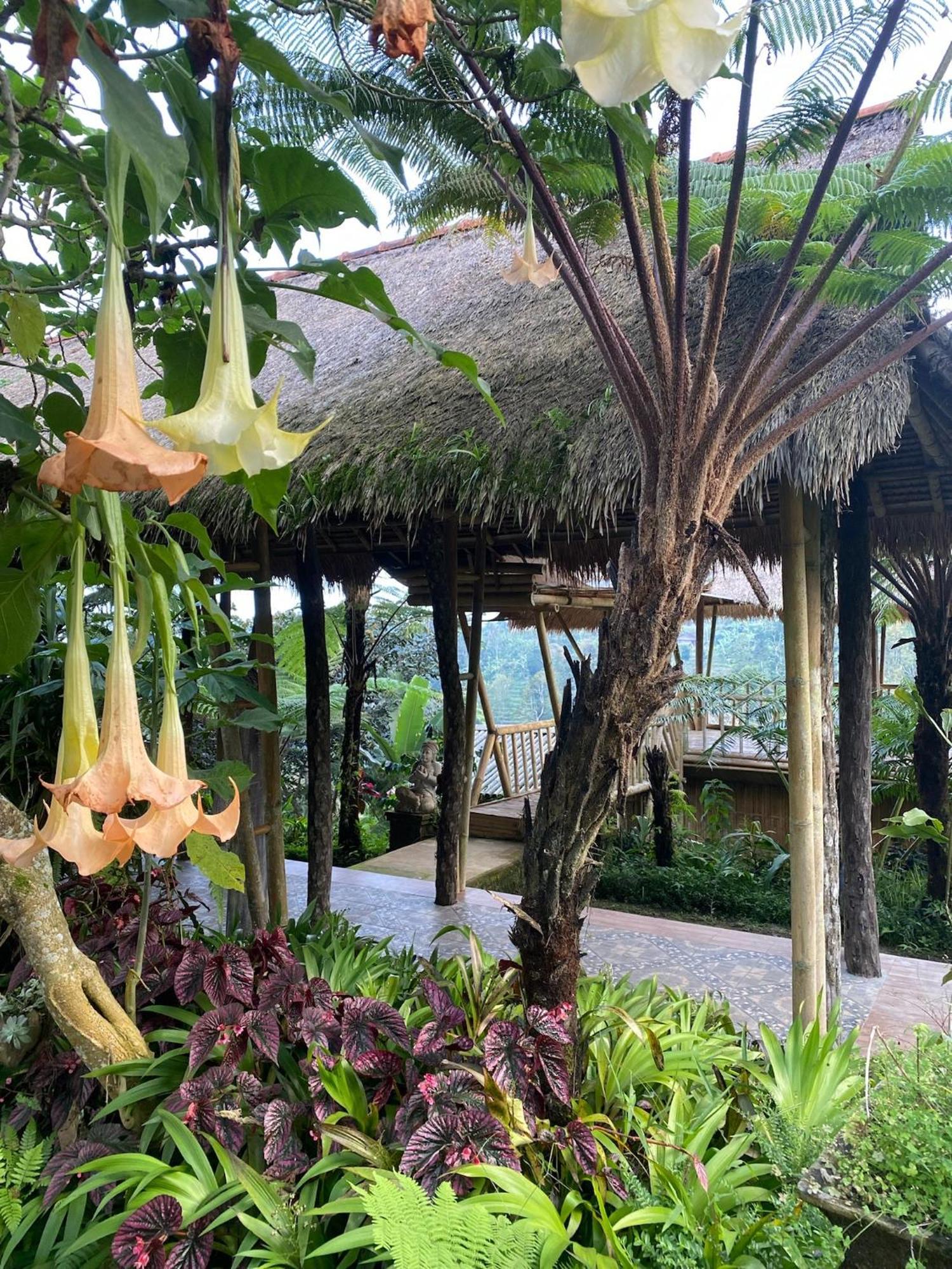 Lembah Cinta Mayungan Baturiti Exterior photo